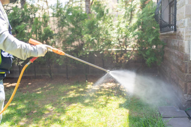 Pest Prevention Services in Winnsboro, LA